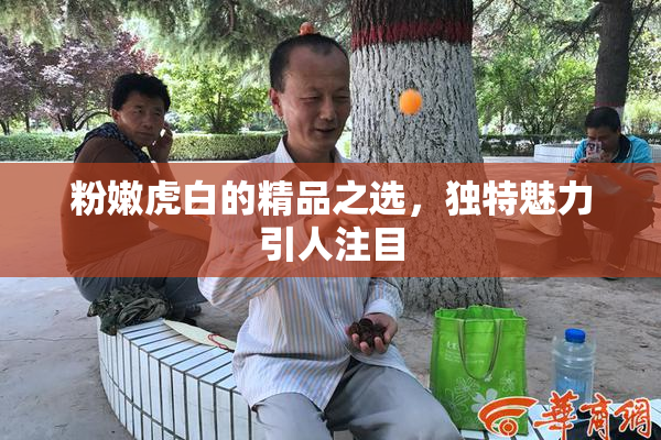 粉嫩虎白的精品之选，独特魅力引人注目