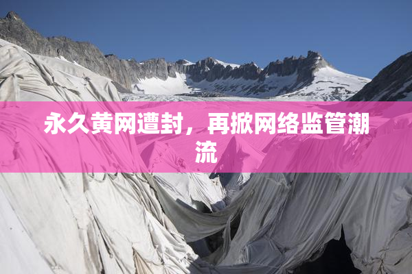 永久黄网遭封，再掀网络监管潮流