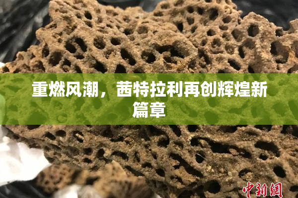 重燃风潮，茜特拉利再创辉煌新篇章
