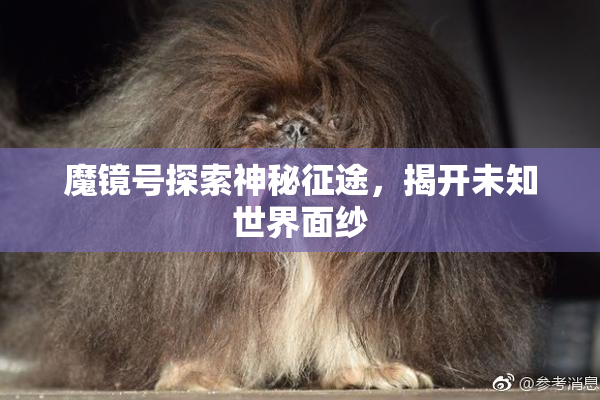魔镜号探索神秘征途，揭开未知世界面纱