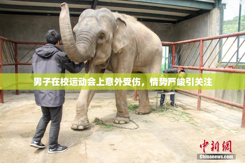 男子在校运动会上意外受伤，情势严峻引关注