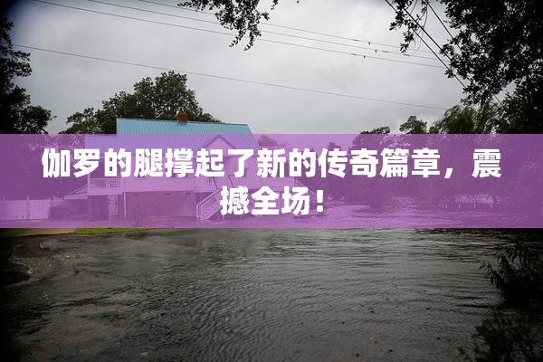 伽罗的腿撑起了新的传奇篇章，震撼全场！