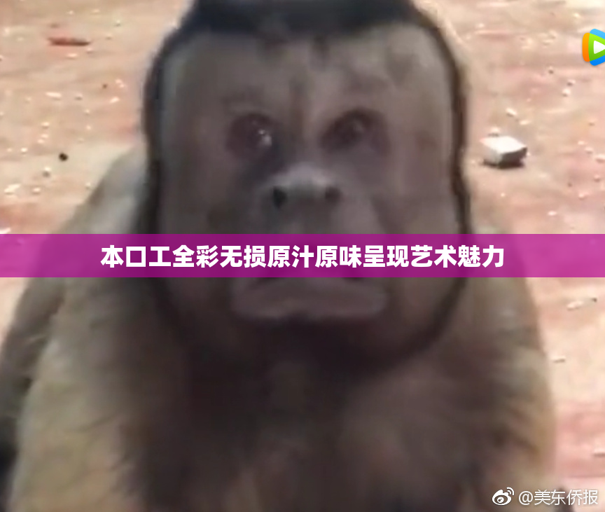 本口工全彩无损原汁原味呈现艺术魅力