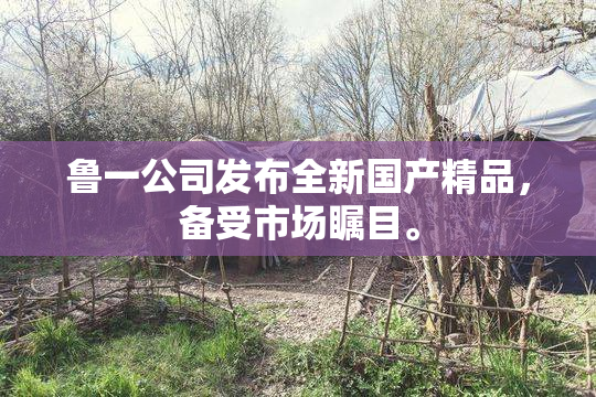 鲁一公司发布全新国产精品，备受市场瞩目。
