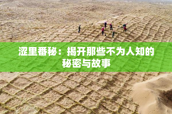 涩里番秘：揭开那些不为人知的秘密与故事