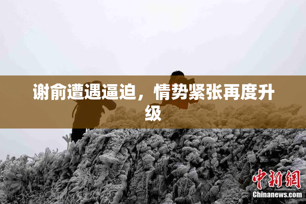 谢俞遭遇逼迫，情势紧张再度升级