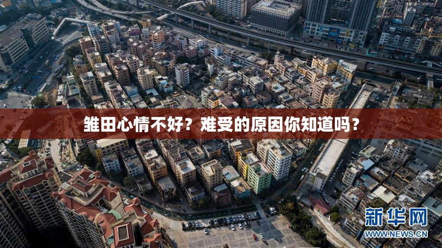雏田心情不好？难受的原因你知道吗？