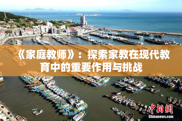 《家庭教师》：探索家教在现代教育中的重要作用与挑战