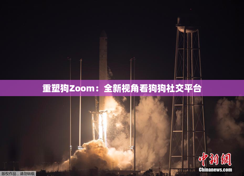 重塑狗Zoom：全新视角看狗狗社交平台