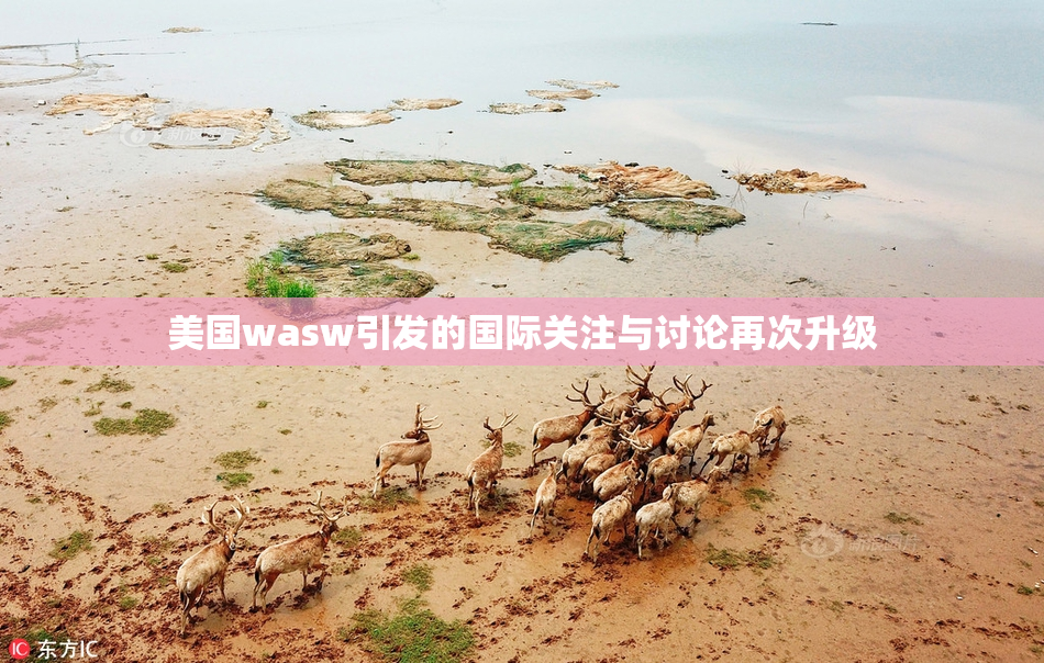 美国wasw引发的国际关注与讨论再次升级