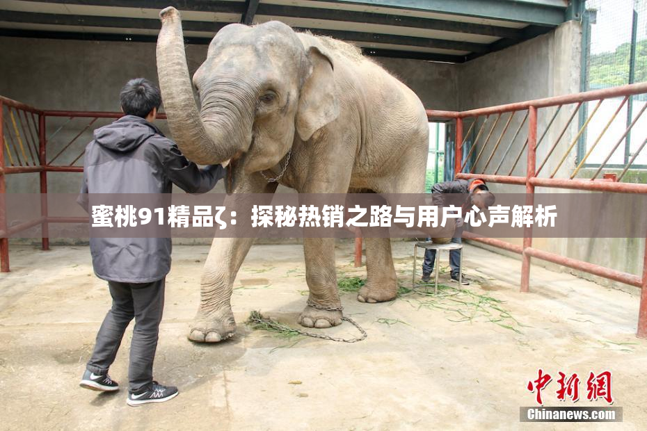 蜜桃91精品ζ：探秘热销之路与用户心声解析
