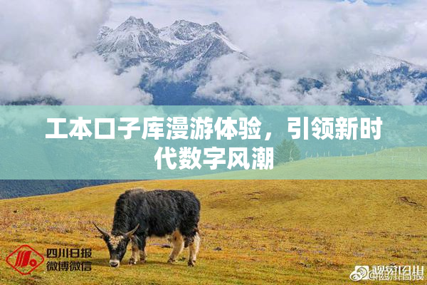 工本口子库漫游体验，引领新时代数字风潮