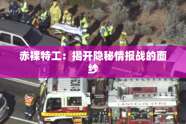 赤裸特工：揭开隐秘情报战的面纱