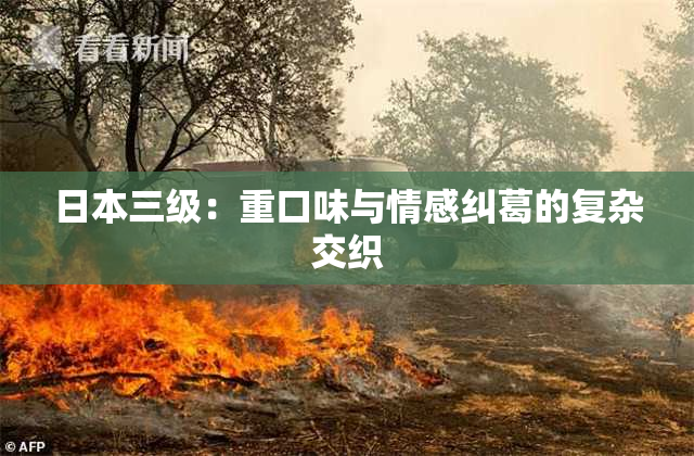 日本三级：重口味与情感纠葛的复杂交织