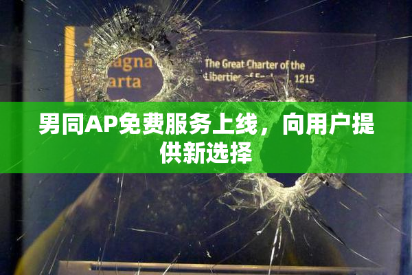 男同AP免费服务上线，向用户提供新选择