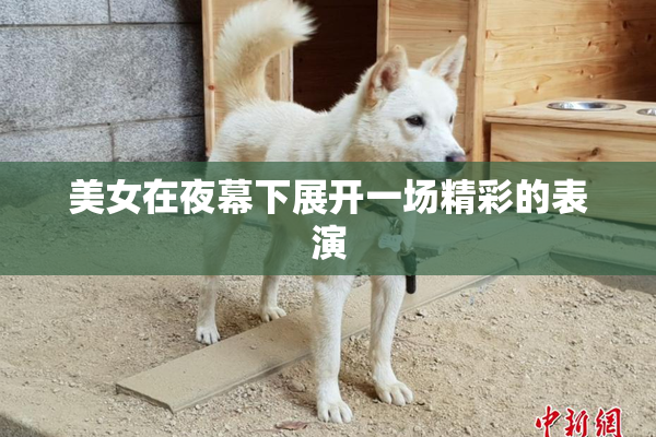 美女在夜幕下展开一场精彩的表演