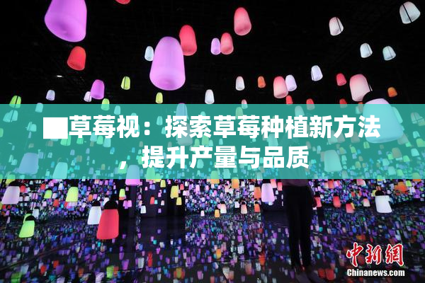 ▇草莓视：探索草莓种植新方法，提升产量与品质