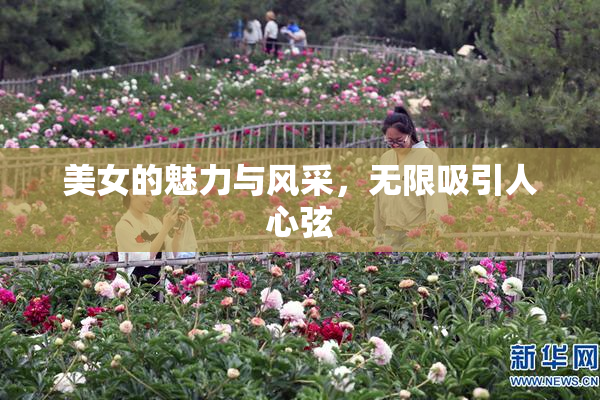 美女的魅力与风采，无限吸引人心弦