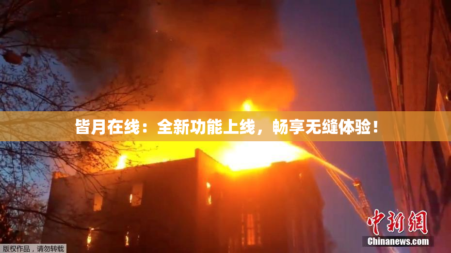 皆月在线：全新功能上线，畅享无缝体验！