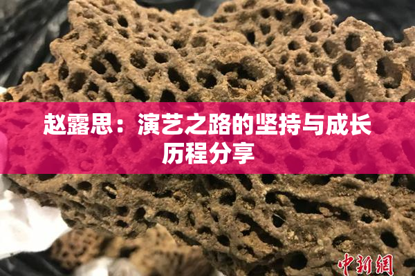 赵露思：演艺之路的坚持与成长历程分享