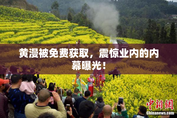 黄漫被免费获取，震惊业内的内幕曝光！