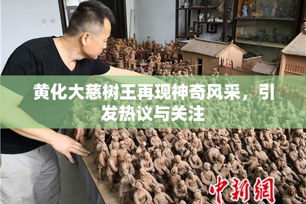 黄化大慈树王再现神奇风采，引发热议与关注