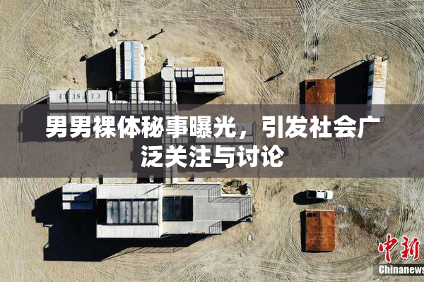男男裸体秘事曝光，引发社会广泛关注与讨论
