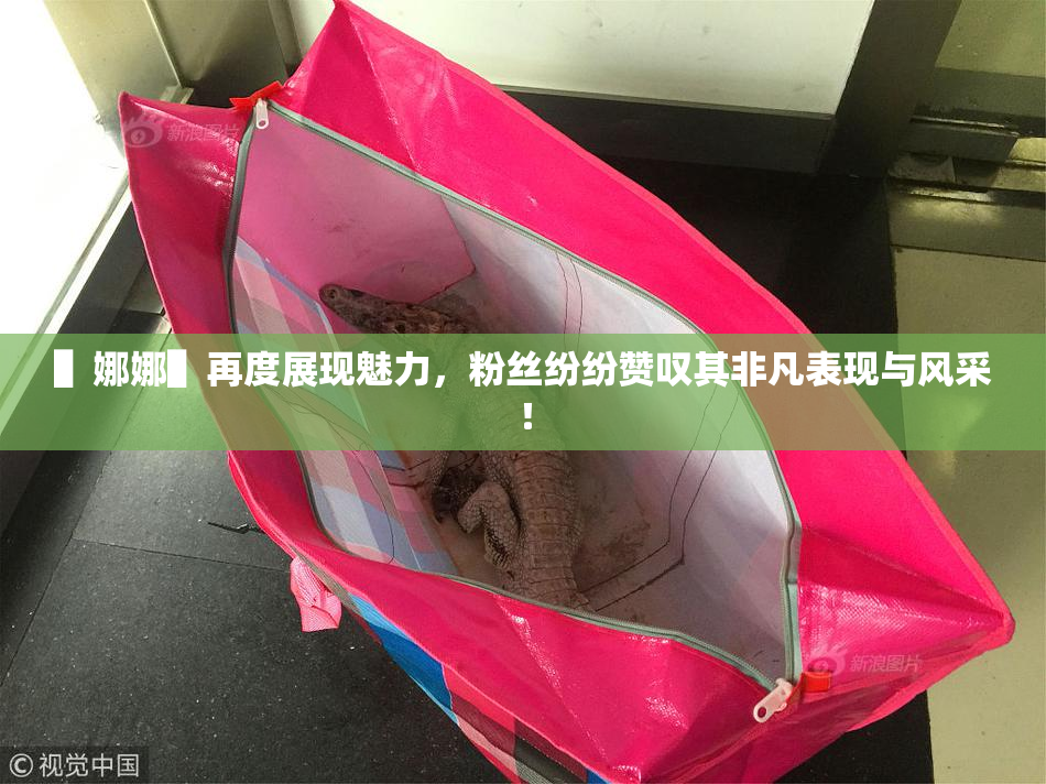 ▌娜娜▌再度展现魅力，粉丝纷纷赞叹其非凡表现与风采！