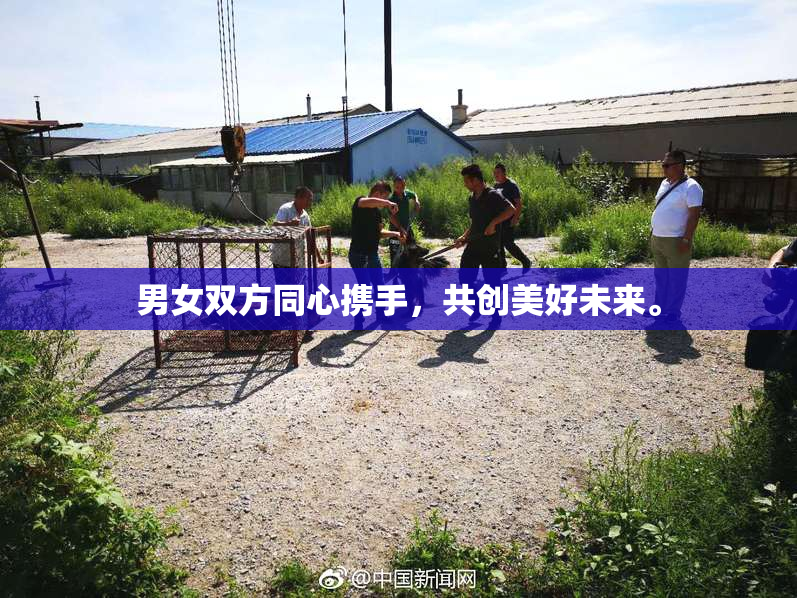 男女双方同心携手，共创美好未来。