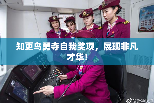 知更鸟勇夺自我奖项，展现非凡才华！