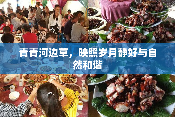 青青河边草，映照岁月静好与自然和谐