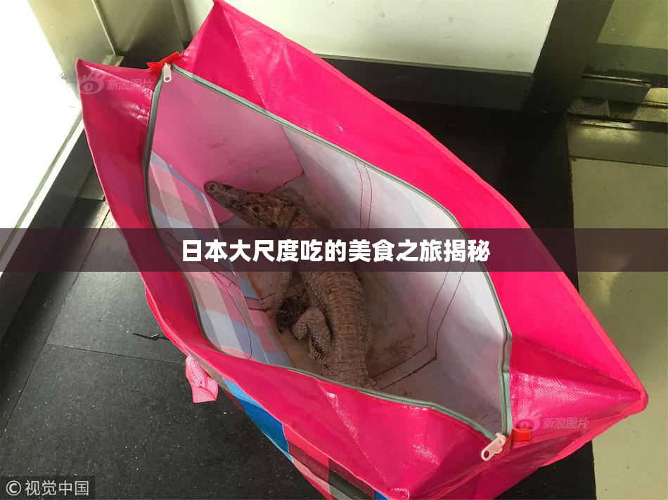 日本大尺度吃的美食之旅揭秘