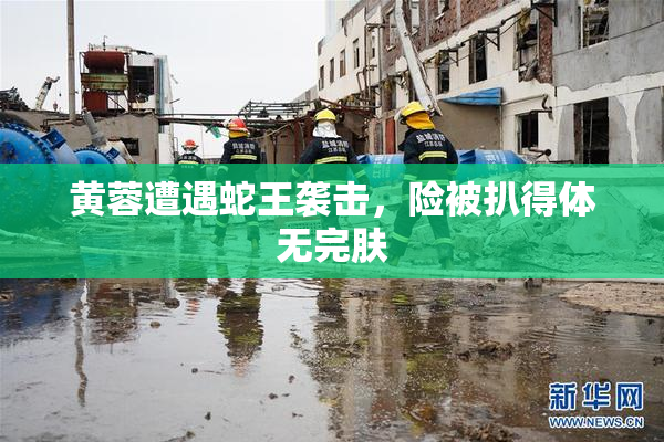 黄蓉遭遇蛇王袭击，险被扒得体无完肤