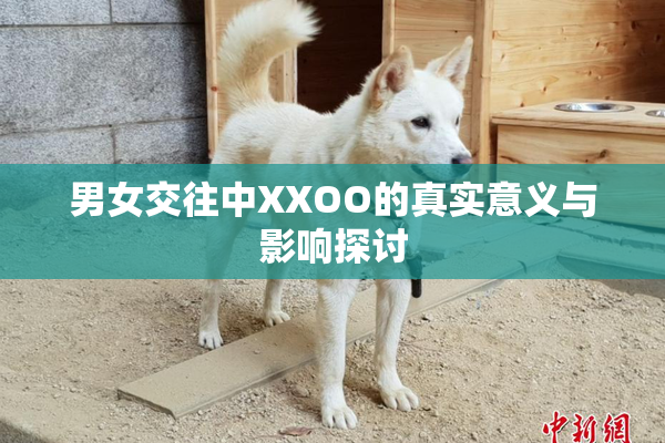 男女交往中XXOO的真实意义与影响探讨