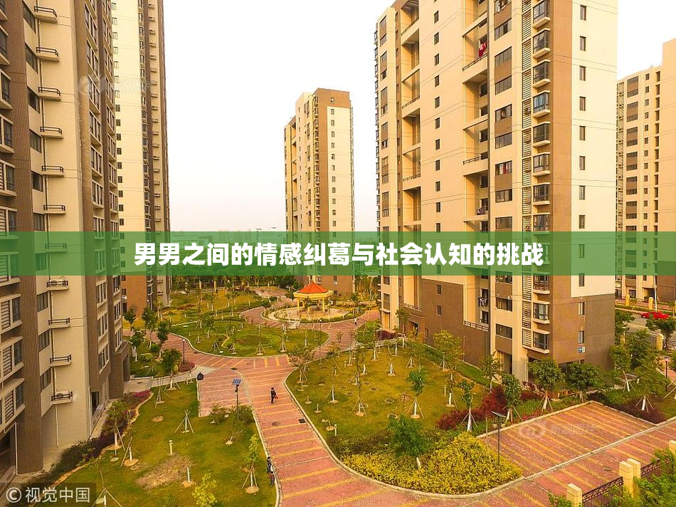 男男之间的情感纠葛与社会认知的挑战