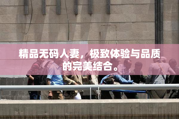 精品无码人妻，极致体验与品质的完美结合。