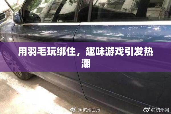 用羽毛玩绑住，趣味游戏引发热潮