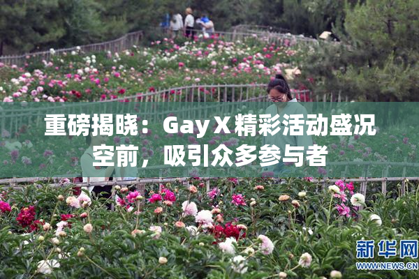 重磅揭晓：GayⅩ精彩活动盛况空前，吸引众多参与者