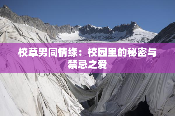 校草男同情缘：校园里的秘密与禁忌之爱