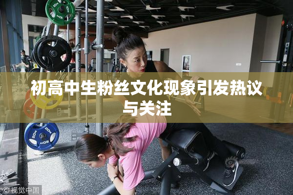 初高中生粉丝文化现象引发热议与关注