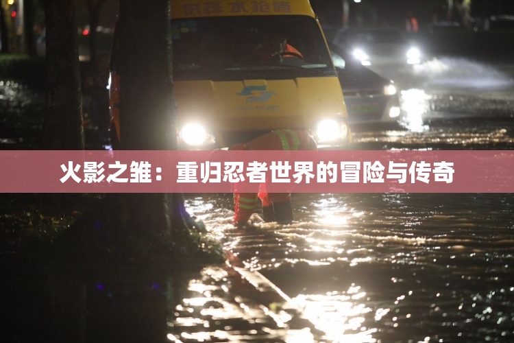 火影之雏：重归忍者世界的冒险与传奇