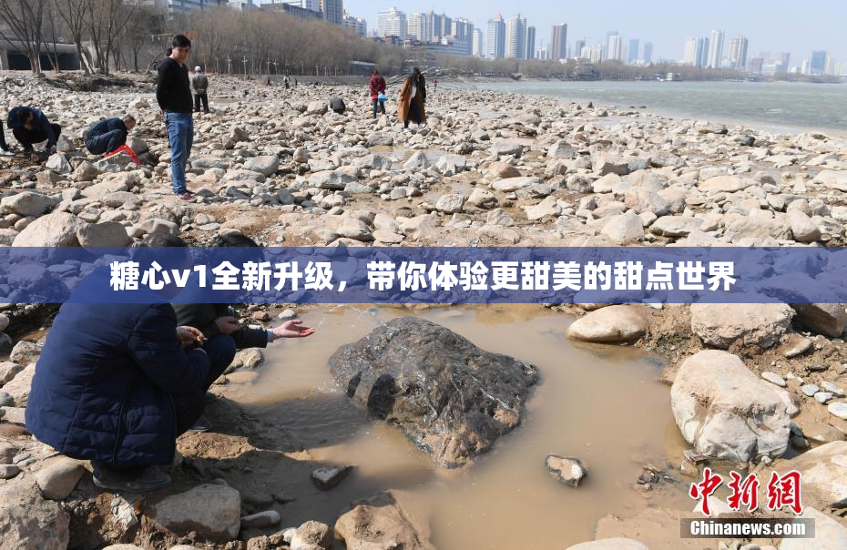 糖心v1全新升级，带你体验更甜美的甜点世界