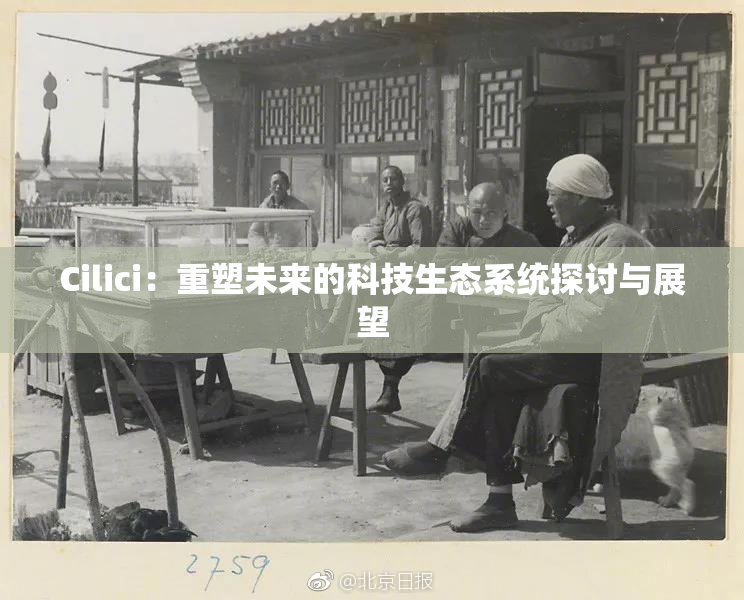 Cilici：重塑未来的科技生态系统探讨与展望