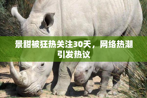 景甜被狂热关注30天，网络热潮引发热议