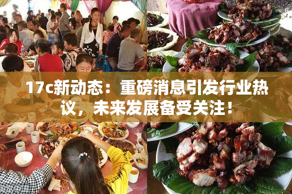 17c新动态：重磅消息引发行业热议，未来发展备受关注！