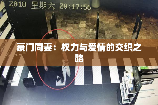 豪门同妻：权力与爱情的交织之路