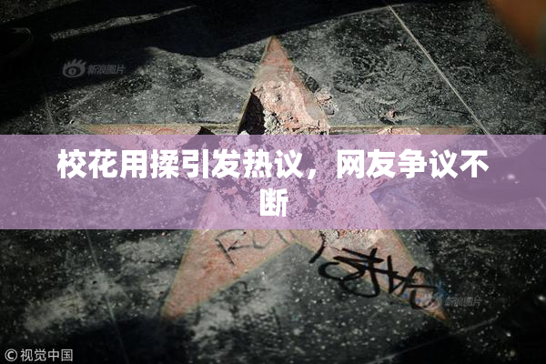 校花用揉引发热议，网友争议不断