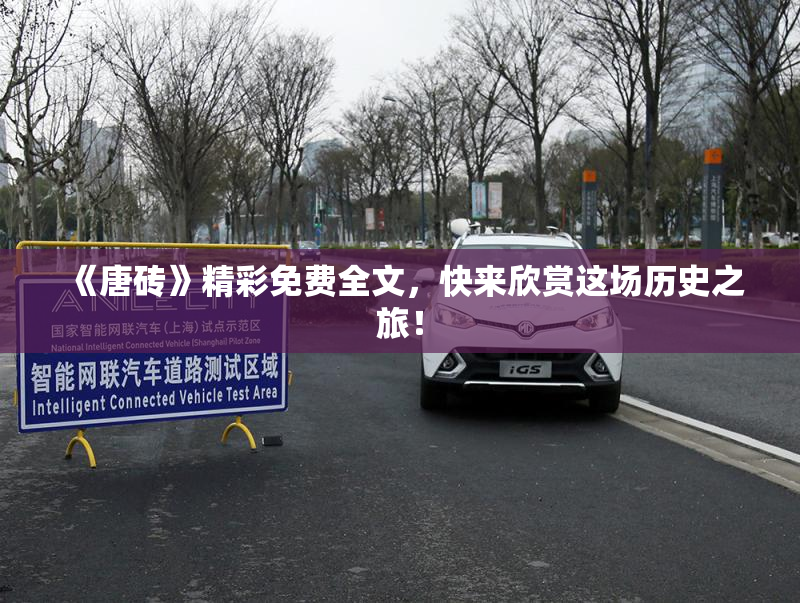 《唐砖》精彩免费全文，快来欣赏这场历史之旅！