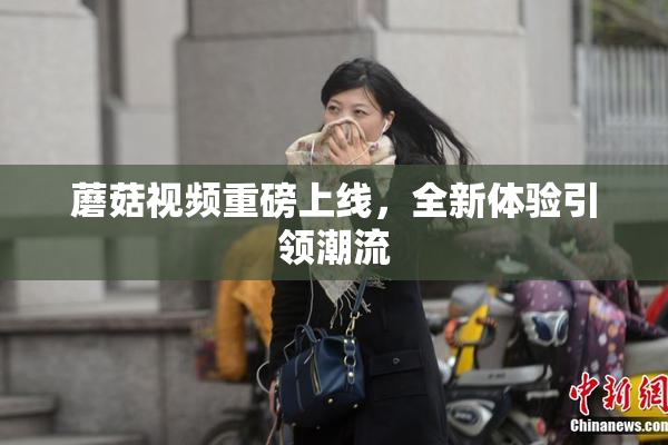 蘑菇视频重磅上线，全新体验引领潮流