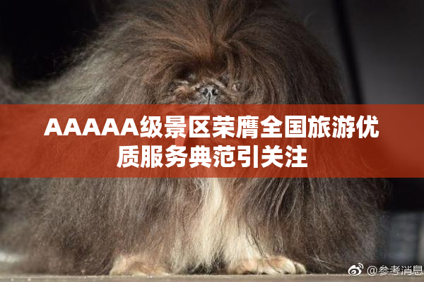 AAAAA级景区荣膺全国旅游优质服务典范引关注